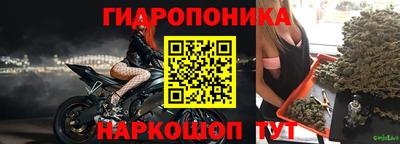 прущие грибы Будённовск