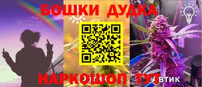 прущие грибы Будённовск