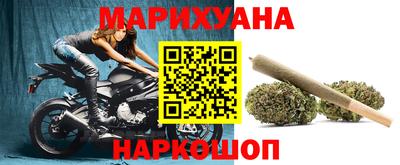 прущие грибы Будённовск