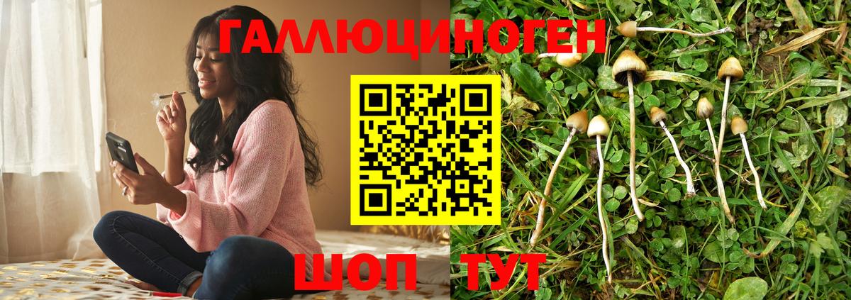 Псилоцибиновые грибы прущие грибы Тамбов