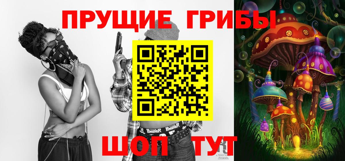 Тамбов  Галлюциногенные грибы Psilocybe  Вход с VPN  Галлюциногенные грибы прущие грибы 